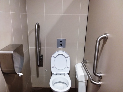 4-Star Toilet - Gardens By The Bay MRT Station (TEL22)
