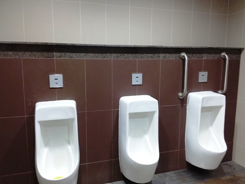 4-Star Toilet - Gardens By The Bay MRT Station (TEL22)