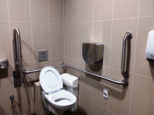 4-Star Toilet - Gardens By The Bay MRT Station (TEL22)