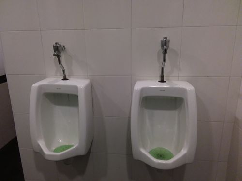 3-Star Toilet - Warner Court Condominium