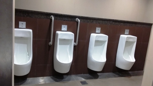 4-Star Toilet - Lentor Mrt Station (TE 5)