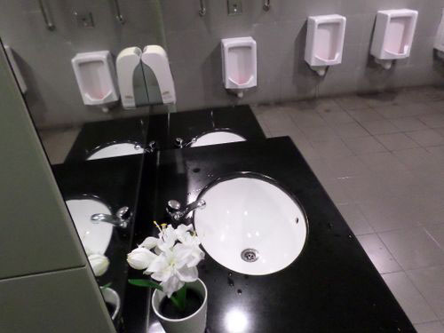 4-Star Toilet - Bayfront MRT Station 