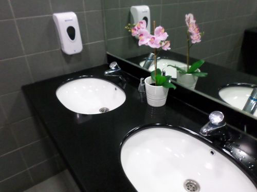 4-Star Toilet - Dhoby Ghaut MRT Station Circle Line 
