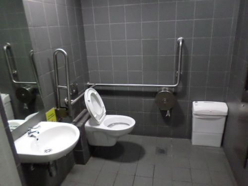 4-Star Toilet - Dhoby Ghaut MRT Station Circle Line 