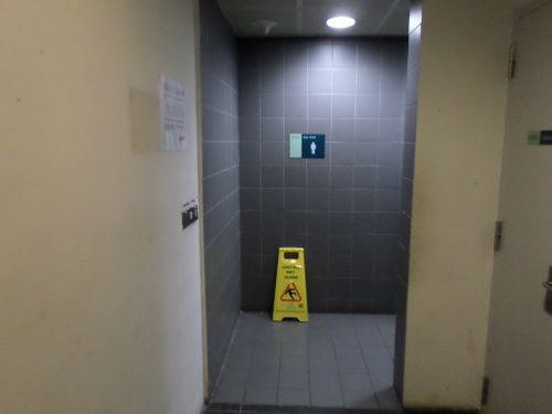 4-Star Toilet - Dhoby Ghaut MRT Station Circle Line 