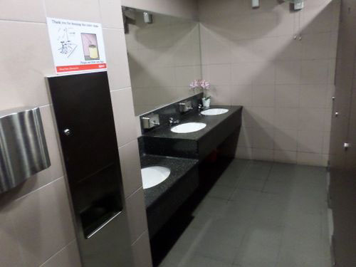 4-Star Toilet - Marina Bay MRT Station 