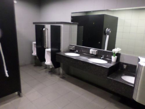 4-Star Toilet - Marina Bay MRT Station 