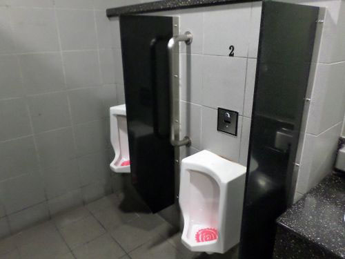 4-Star Toilet - Marina Bay MRT Station 