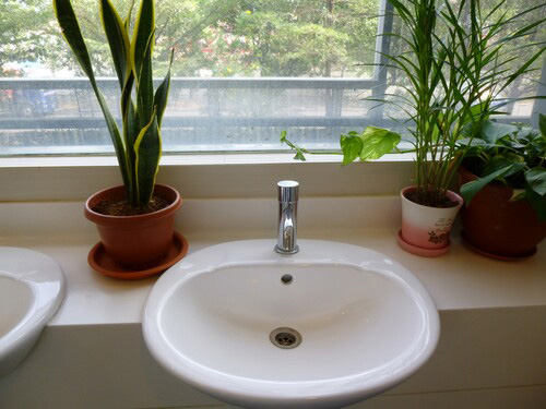 5-Star Toilet - Samwoh Eco Green Building 