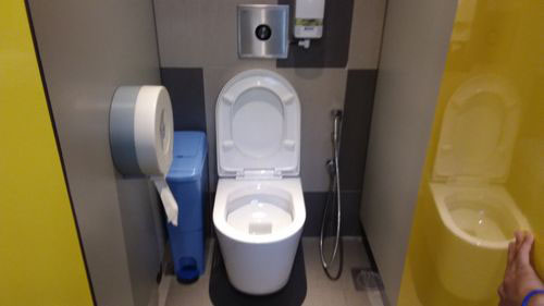 5-Star Toilet - Sentosa Palawan Kidz City 