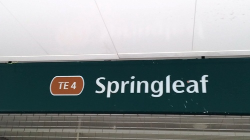 4-Star Toilet - Springleaf Mrt Station (TE 4)