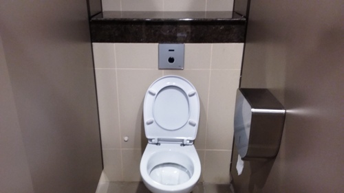 4-Star Toilet - Upper Thomson Mrt Station (TE8)
