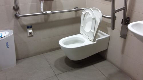 4-Star Toilet - Beauty World MRT Station