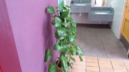 3-Star Toilet - Bishan Bus Interchange