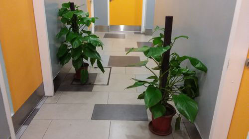 3-Star Toilet - Joo Koon Bus Interchange