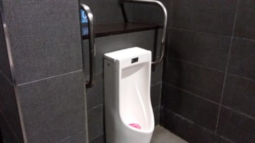 4-Star Toilet - Tan Kah Kee MRT Station (DT8)