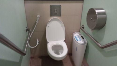 4-Star Toilet - Botanic Garden MRT Station (DT9)