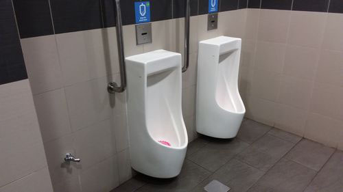4-Star Toilet - Botanic Garden MRT Station (DT9)