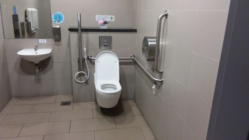 4-Star Toilet - Botanic Garden MRT Station (DT9)