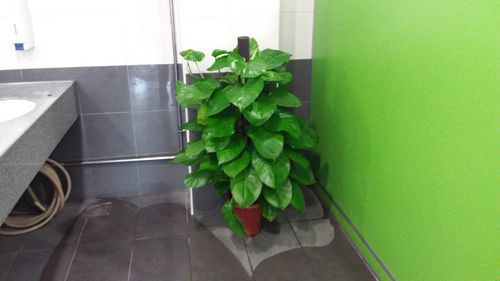 3-Star Toilet - Shenton Way Bus Terminal