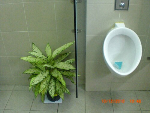 4-Star Toilet - Jurong Port Food Centre 