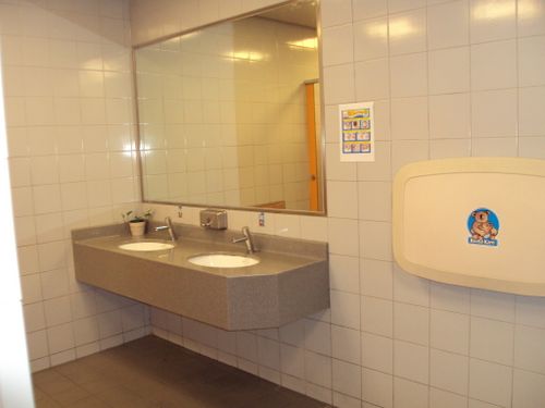 4-Star Toilet - Botanic Gardens MRT station 