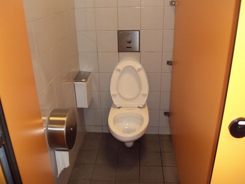 4-Star Toilet - Botanic Gardens MRT station 