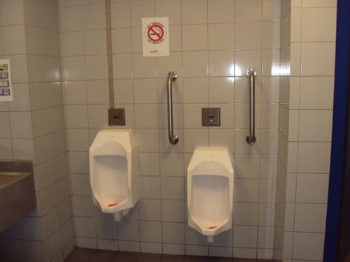 4-Star Toilet - Botanic Gardens MRT station 