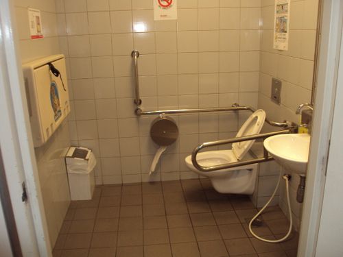 4-Star Toilet - Botanic Gardens MRT station 