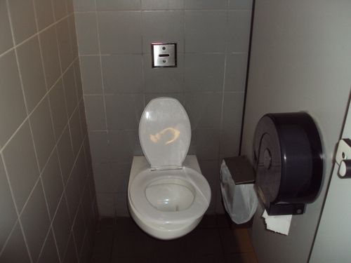 4-Star Toilet - Holland Village MRT station 