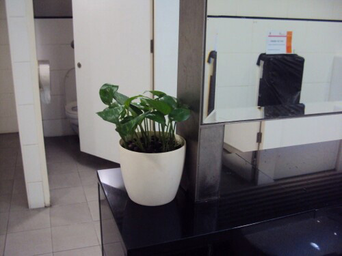 4-Star Toilet - Liang Court 