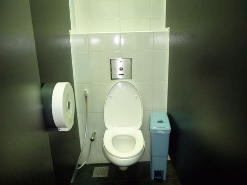 5-Star Toilet - Sentosa Imbiah Lookout 