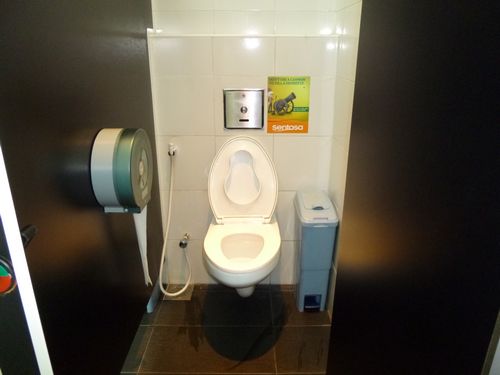 5-Star Toilet - Sentosa Imbiah Lookout 