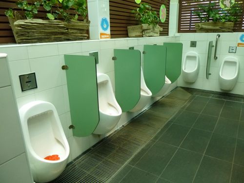 5-Star Toilet - Sentosa Imbiah Lookout 