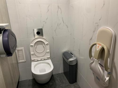 5-Star Toilet - City Square Mall