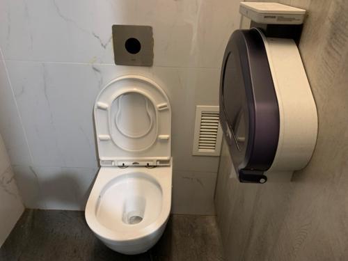 5-Star Toilet - City Square Mall