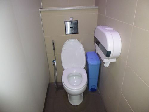 4-Star Toilet - CleanTech Two 
