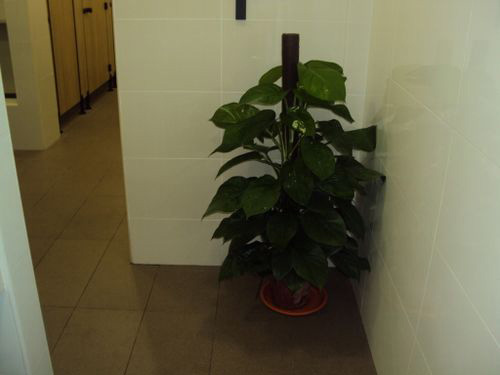 3-Star Toilet - Gek Poh Shopping Centre 
