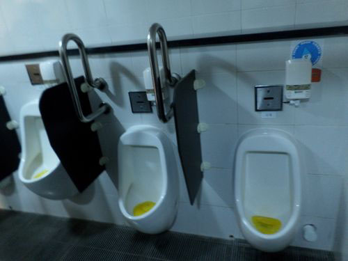5-Star Toilet - Sentosa Beach Station 