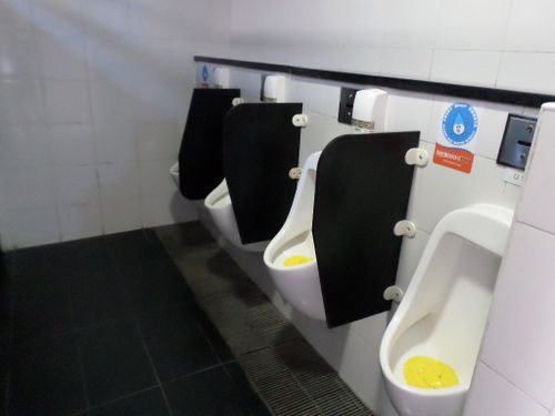 5-Star Toilet - Sentosa Beach Station 