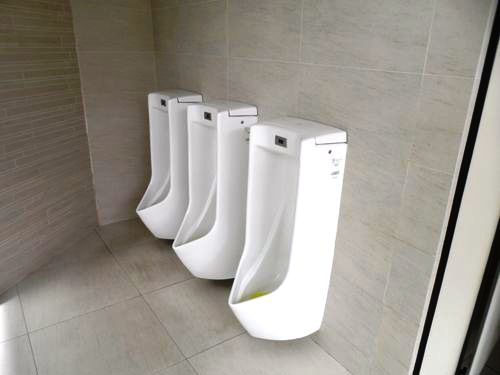 5-Star Toilet - ArBora Cafe