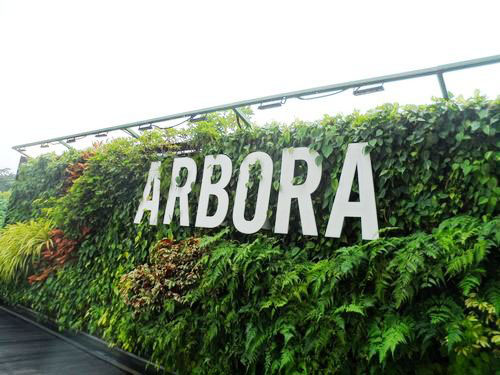5-Star Toilet - ArBora Cafe