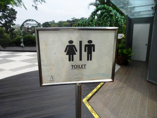 5-Star Toilet - ArBora Cafe