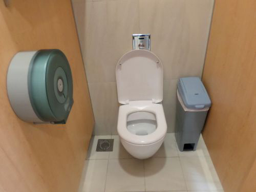 5-Star Toilet - Lum Chang Building 