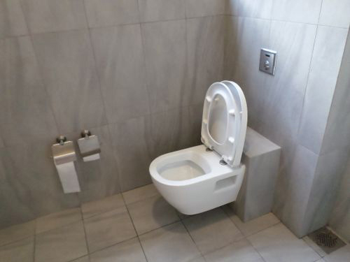5-Star Toilet - Lum Chang Building 