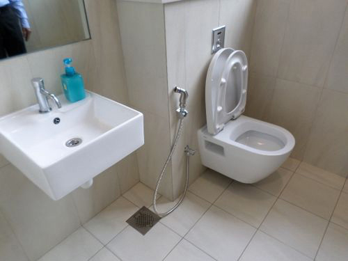 5-Star Toilet - Lum Chang Building 