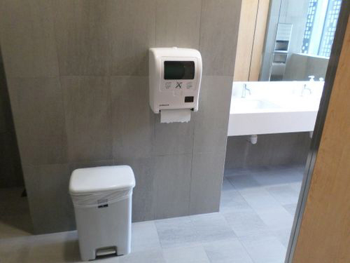 5-Star Toilet - Lum Chang Building 