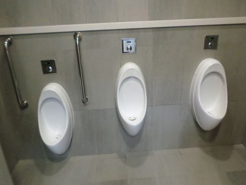 5-Star Toilet - Lum Chang Building 