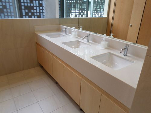 5-Star Toilet - Lum Chang Building 