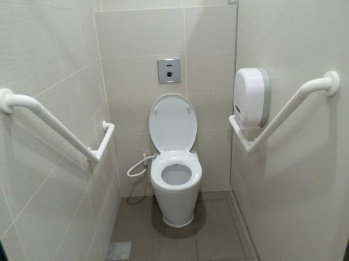 5-Star Toilet - Merlion Park @ Fullerton 